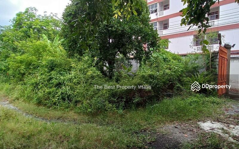 For Sale - ที่ดินสามพราน นครปฐม, Nakhon Pathom