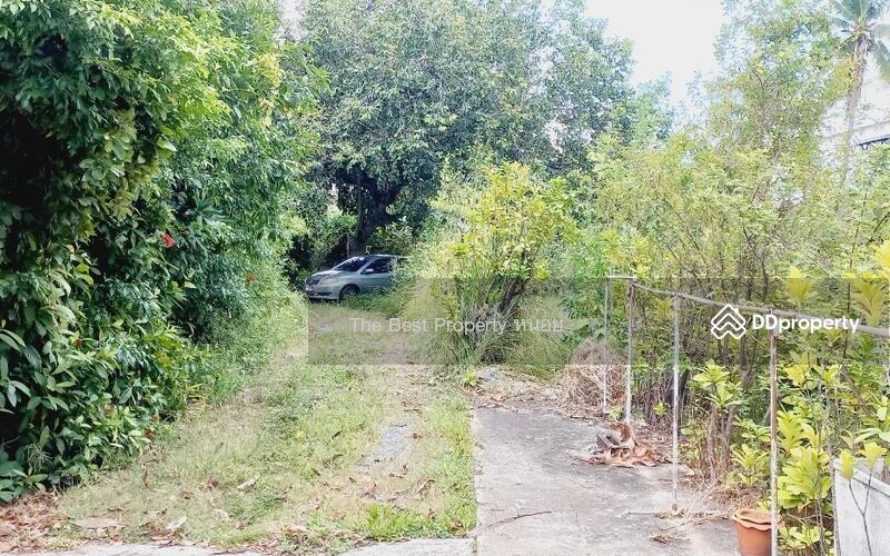 For Sale - ที่ดินสามพราน นครปฐม, Nakhon Pathom