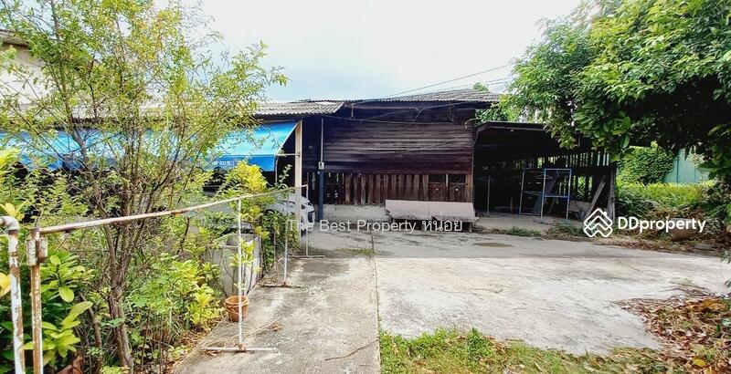 For Sale - ที่ดินสามพราน นครปฐม, Nakhon Pathom
