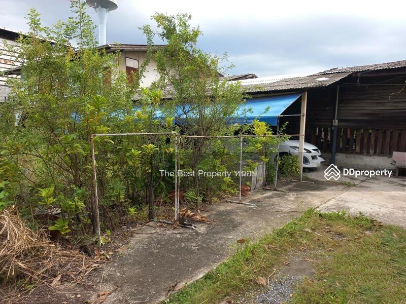 For Sale - ที่ดินสามพราน นครปฐม, Nakhon Pathom