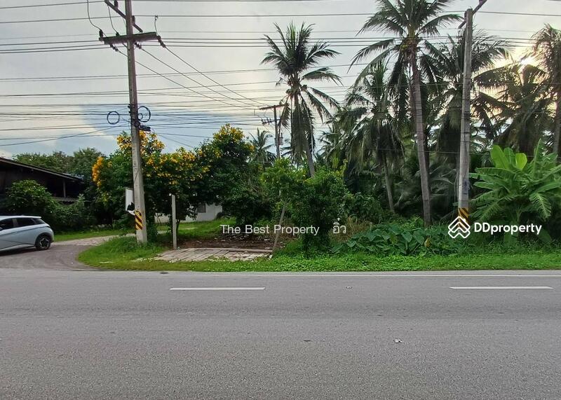 ขาย - ที่ดินบางคนที สมุทรสงคราม, สมุทรสงคราม