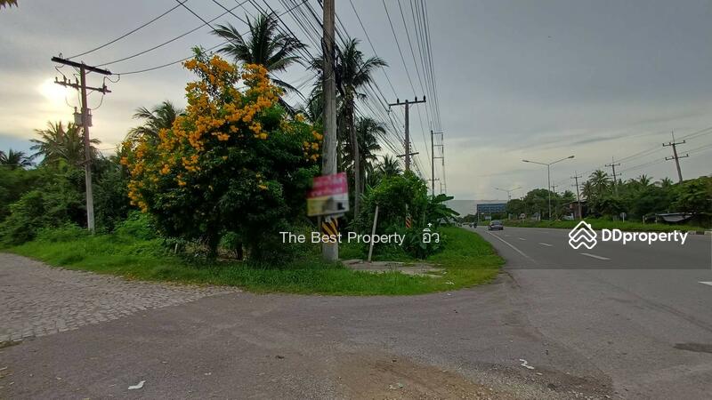 ขาย - ที่ดินบางคนที สมุทรสงคราม, สมุทรสงคราม