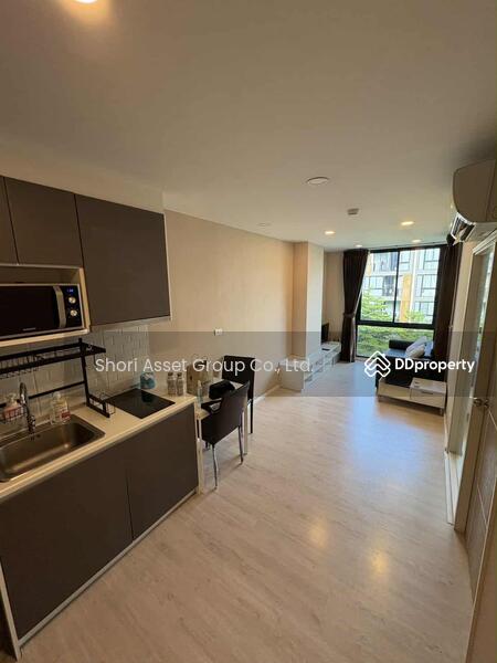 ขาย - Palm Springs Nimman Royal : ปาล์ม สปริงส์ นิมมาน รอยัล, เชียงใหม่