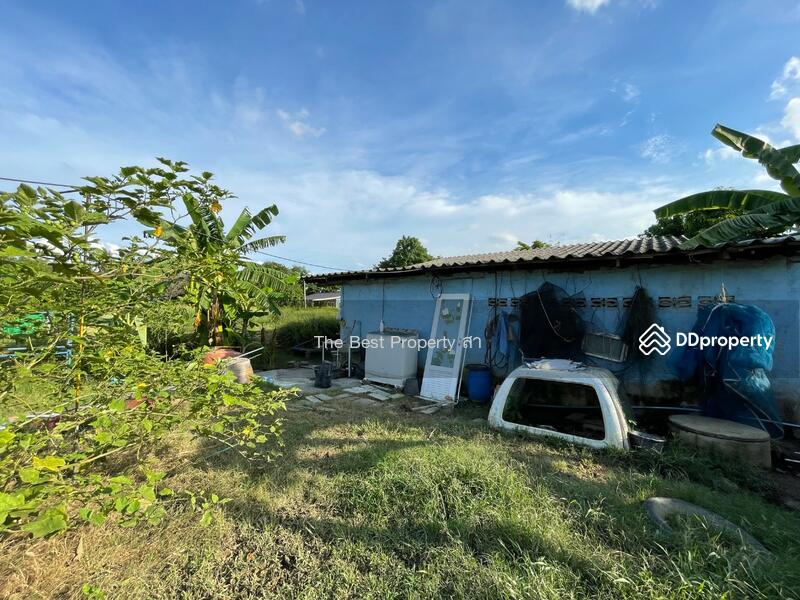 ขาย - บ้านเดี่ยวพร้อมที่ดินหนองปากโลง นครปฐม, นครปฐม