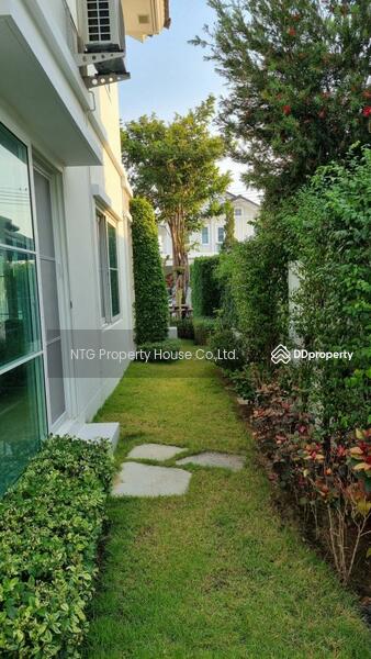 ให้เช่า - Villaggio Srinakarin-Bangna : วิลลาจจิโอ ศรีนครินทร์-บางนา, สมุทรปราการ