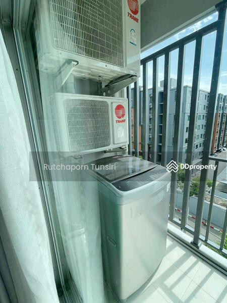 For Rent - Dcondo Nim, Chiang Mai