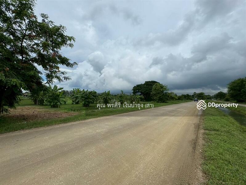 ขาย - ที่ดินเปล่า 1 ไร่ 231.5 ตร.ว. ที่ดินเปล่า ใกล้วัดบ้านยาง ราชบุรี ถนนเพชรเกษม ราชบุรี บ้านโป่ง, ราชบุรี