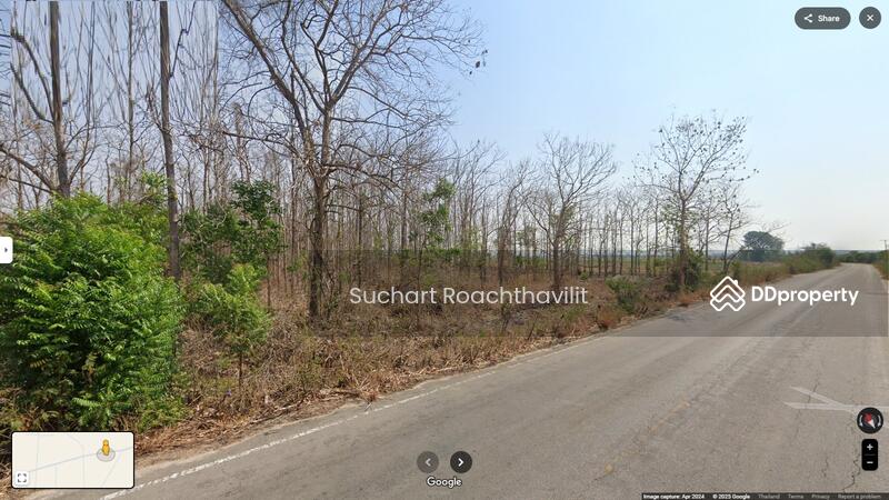 ขาย - ขายที่ดิน น.ส.3ก 266-1-30 ไร่ ต.ด่านมะขามเตี้ย กาญจนบุรี, กาญจนบุรี