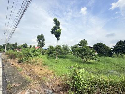 ขาย - ที่ดินเปล่า 266 ตร.วา ท่าอิฐ 15 แยกตาลเดียว - วัดบางบัวทอง นนทบุรี, นนทบุรี