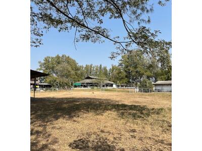 ขาย - ขายที่ดิน 51 ไร่ อ.ปากช่อง จ.นครราชสีมา, นครราชสีมา