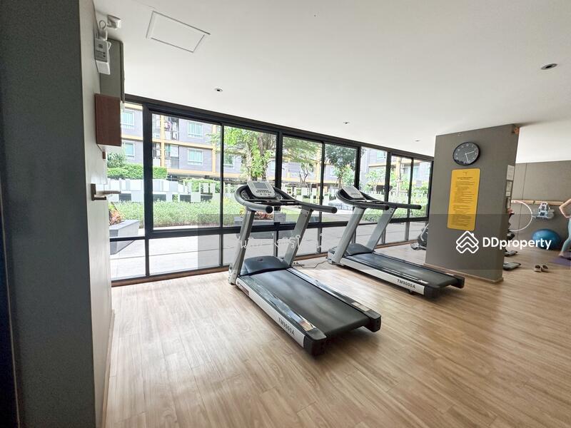 For Rent - U Campus Rangsit-Muangake, Pathum Thani