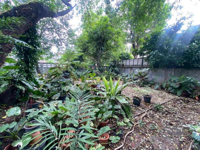 ขาย - ขายบ้านพร้อมที่ดิน ในซอยติวานนท์18 เนื้อที่ 219 ตารางวา ทำเลดี เหมาะแก่การพักอาศัย, นนทบุรี