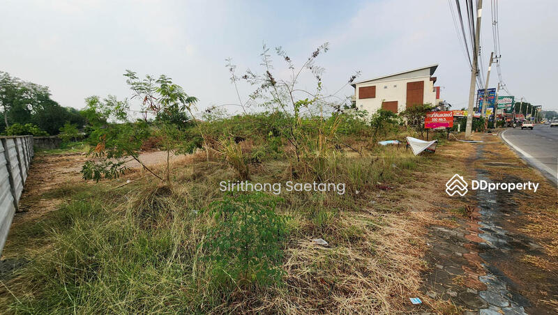 For Sale - Land for sale/rent, 550 sq.wa, located on the main road, Wang Tan, Saraphi, Chiang Mai, Chiang Mai