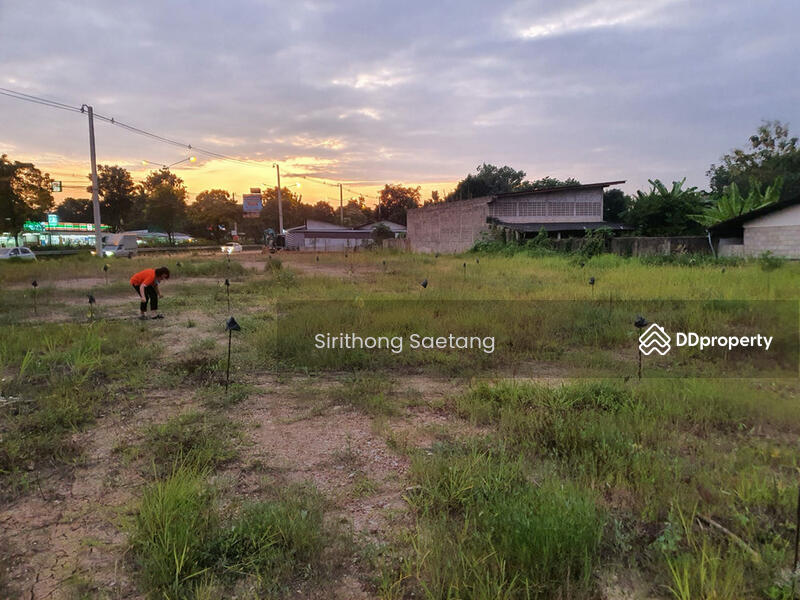 For Sale - Land for sale/rent, 550 sq.wa, located on the main road, Wang Tan, Saraphi, Chiang Mai, Chiang Mai
