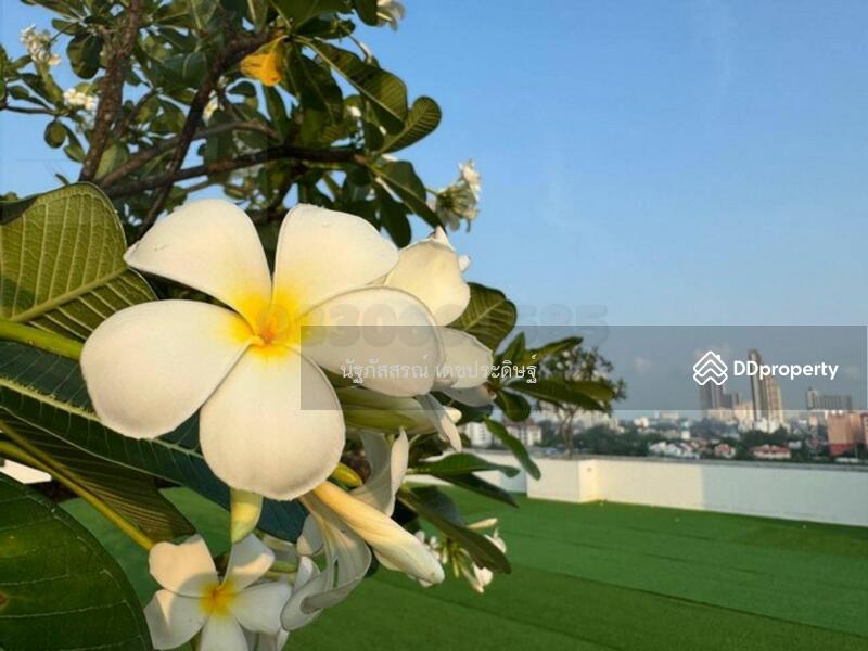 For Sale - Sixth Element นาจอมเทียน, Chon Buri