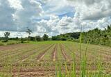 ที่ดินหนองไฮ อุดรธานี - DDproperty.com