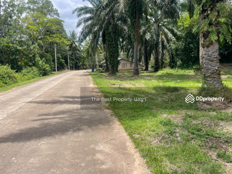 ขาย - ที่ดินท่าแซะ ชุมพร, ชุมพร
