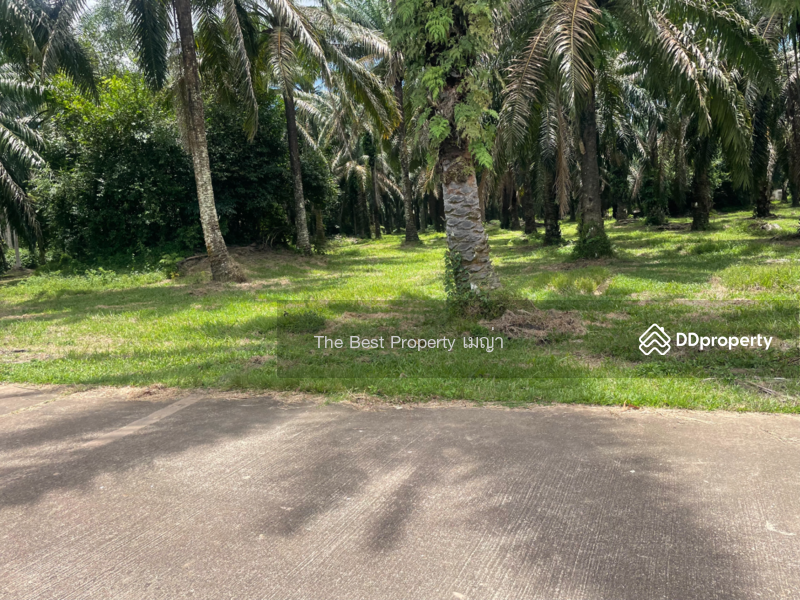 ขาย - ที่ดินท่าแซะ ชุมพร, ชุมพร