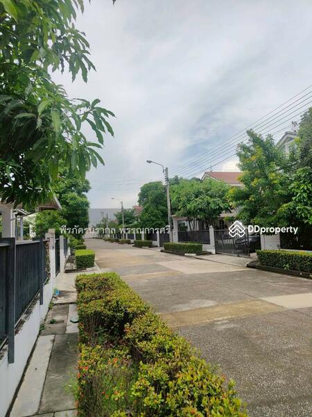 ขาย - Chaiyaphruek Ramintra : ชัยพฤกษ์ รามอินทรา, กรุงเทพ