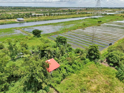 ขาย - ที่ดินบางเลน นครปฐม, นครปฐม