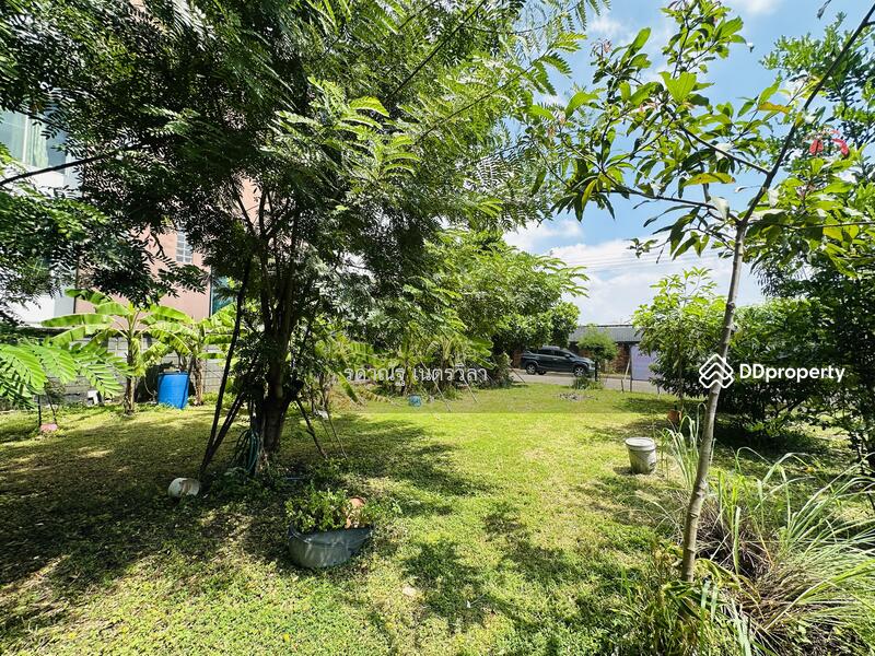 ขาย - ที่ดินเปล่าปลูกบ้าน หมู่บ้านปาริชาติ คลอง4 ปทุมธานี, ปทุมธานี
