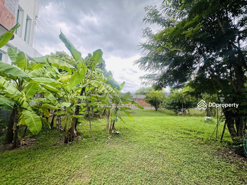 ขาย - ที่ดินเปล่าปลูกบ้าน หมู่บ้านปาริชาติ คลอง4 ปทุมธานี, ปทุมธานี