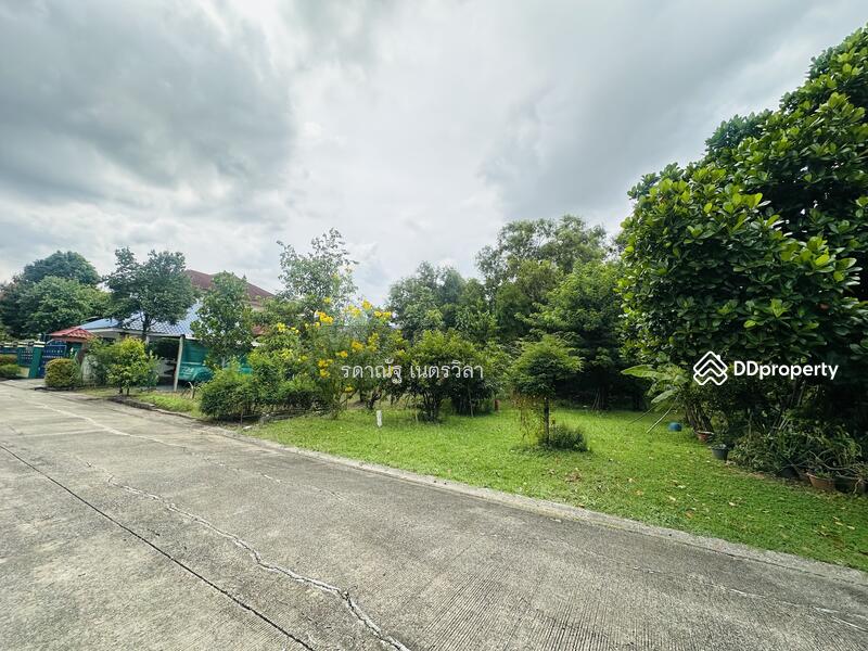 ขาย - ที่ดินเปล่าปลูกบ้าน หมู่บ้านปาริชาติ คลอง4 ปทุมธานี, ปทุมธานี