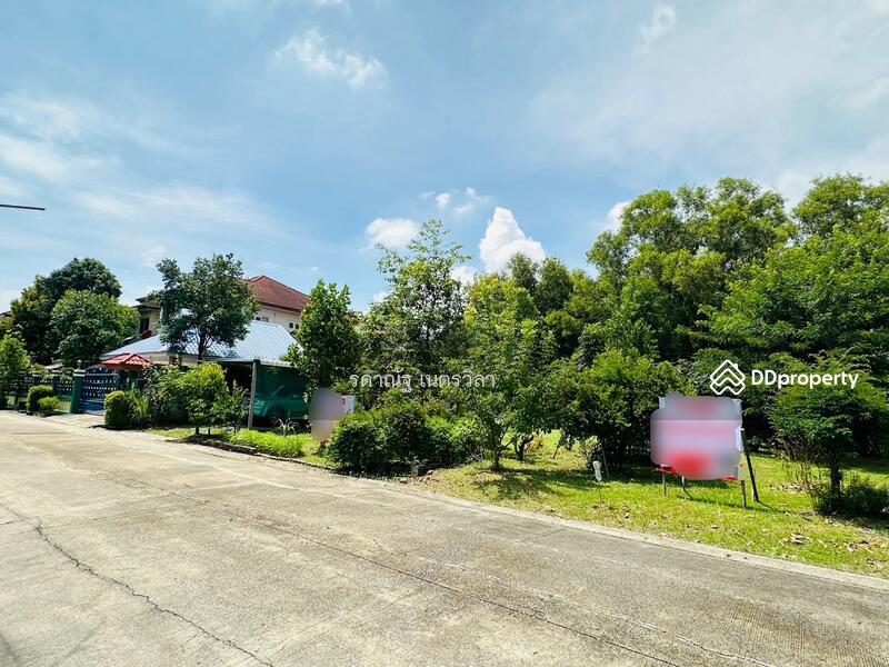 ขาย - ที่ดินเปล่าปลูกบ้าน หมู่บ้านปาริชาติ คลอง4 ปทุมธานี, ปทุมธานี