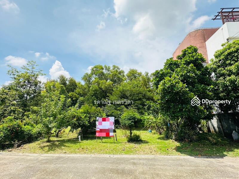 ขาย - ที่ดินเปล่าปลูกบ้าน หมู่บ้านปาริชาติ คลอง4 ปทุมธานี, ปทุมธานี