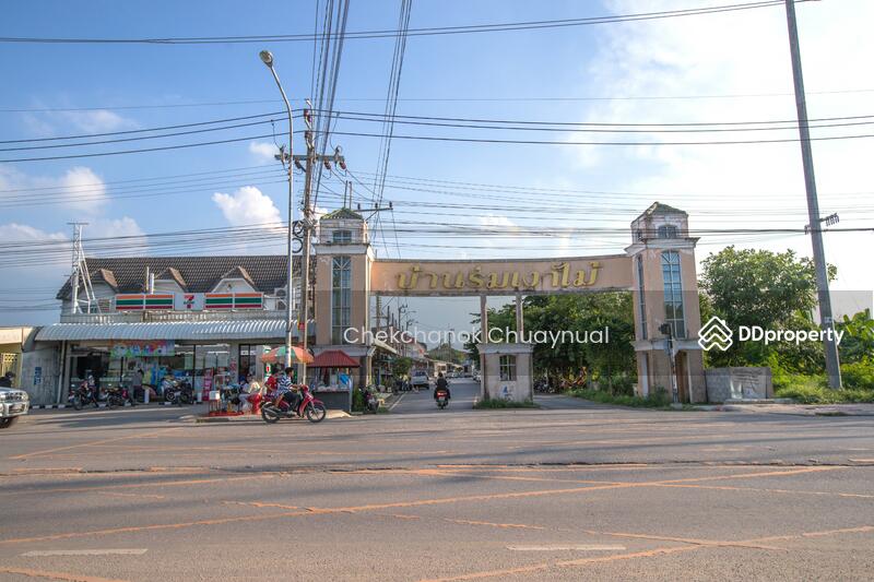 ขาย - Ban Rom Ngao Mai : บ้านร่มเงาไม้, นนทบุรี