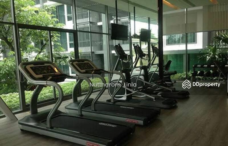 ขาย - The Room Sukhumvit 40 : The Room สุขุมวิท 40, กรุงเทพ