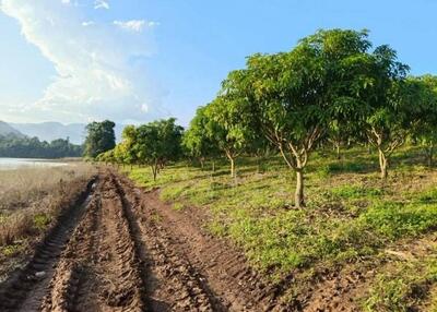 ขาย - ที่ดินโฉนด 74-2-1.2 ไร่ ติดอ่างเก็บน้ำ ต.แม่ปั๋ง อ.พร้าว เชียงใหม่, เชียงใหม่