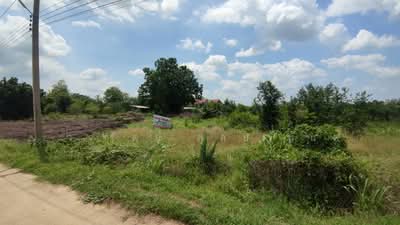 ขาย - ขายที่ดิน ตําบลลํานารายณ์ อําเภอชัยบาดาล จังหวัดลพบุรี, ลพบุรี
