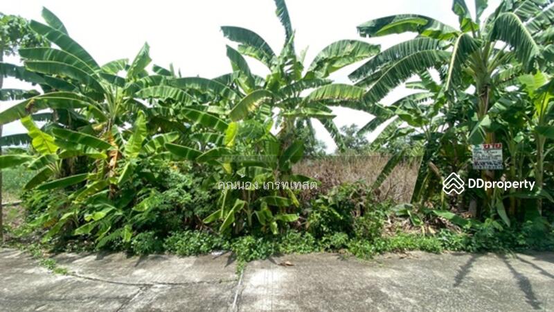 ขาย - ซอยเลียบวารี 59, กรุงเทพ