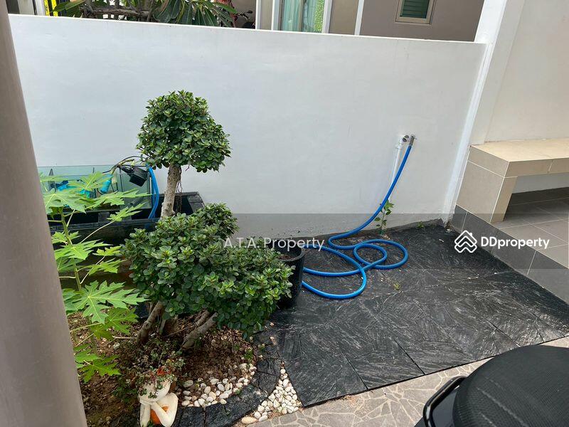 ขาย - Life In The Garden Rongpo-Motorway : ไลฟ อิน เดอะ การ์เด้น โรงโป๊ะ-มอเตอร์เวย์, ชลบุรี