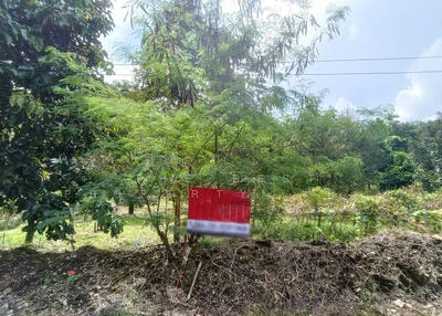 ขาย - ที่ดินท่าใหม่ จันทบุรี, จันทบุรี