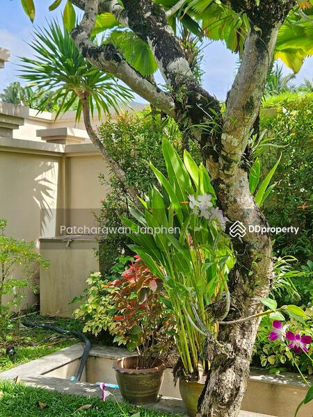 ให้เช่า - The Residence : เดอะ เรสซิเดนซ์, ภูเก็ต