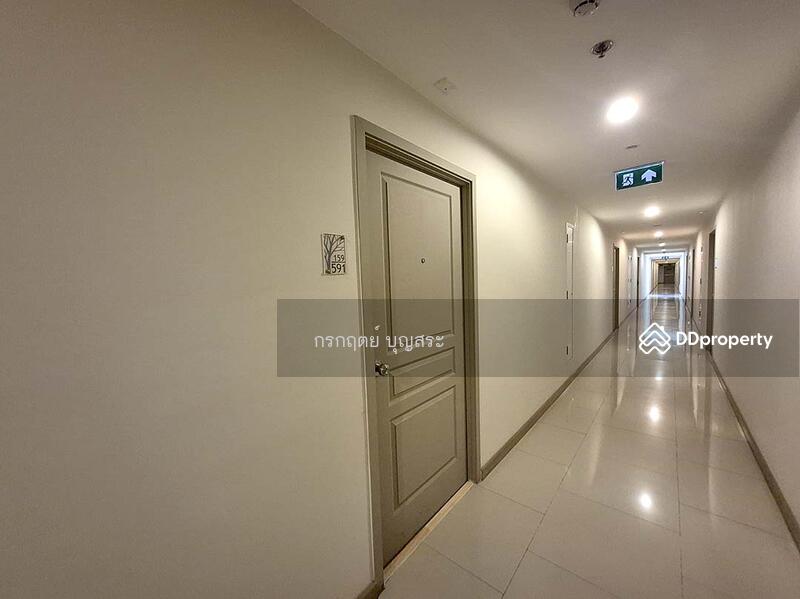 ขาย - Rich Park Chao Phraya : ริชพาร์ค เจ้าพระยา, นนทบุรี