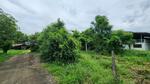 ขายที่ดิน ตําบล โพงาม อ.สรรคบุรี จ.ชัยนาท, ชัยนาท