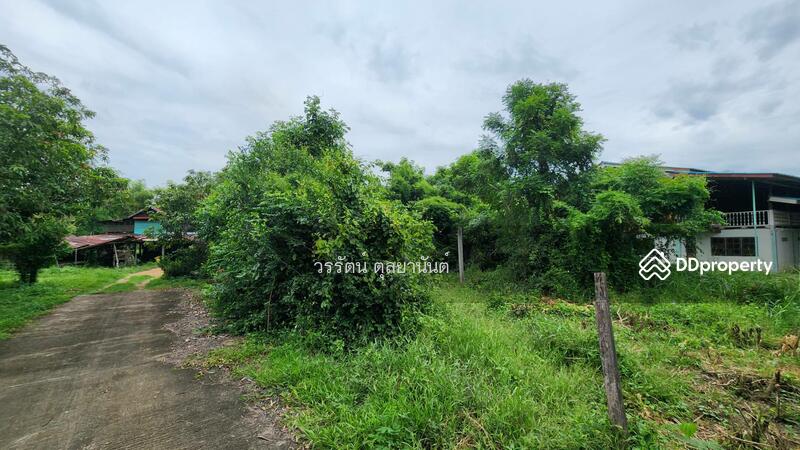 ขาย - ขายที่ดิน ตําบล โพงาม อ.สรรคบุรี จ.ชัยนาท, ชัยนาท