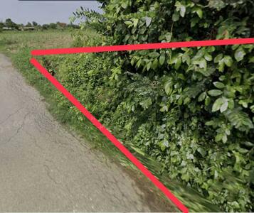 ขาย - ที่ดินสวนป่าน นครปฐม, นครปฐม