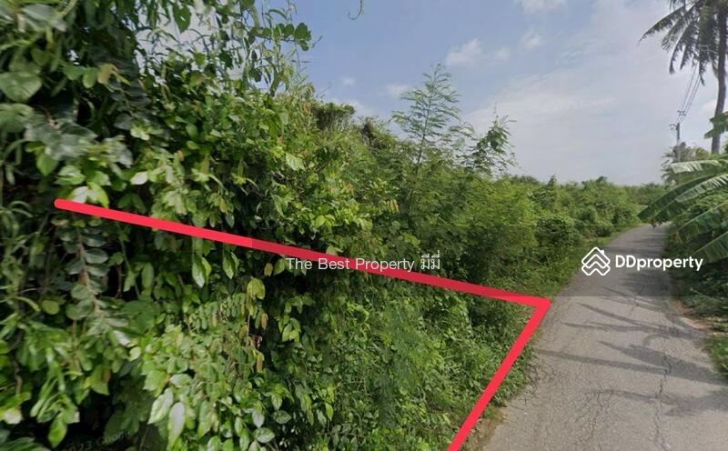 ขาย - ที่ดินสวนป่าน นครปฐม, นครปฐม