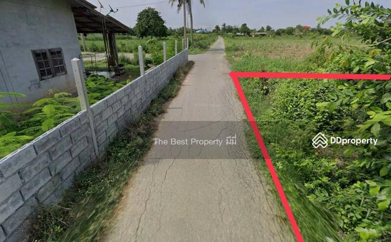 ขาย - ที่ดินสวนป่าน นครปฐม, นครปฐม