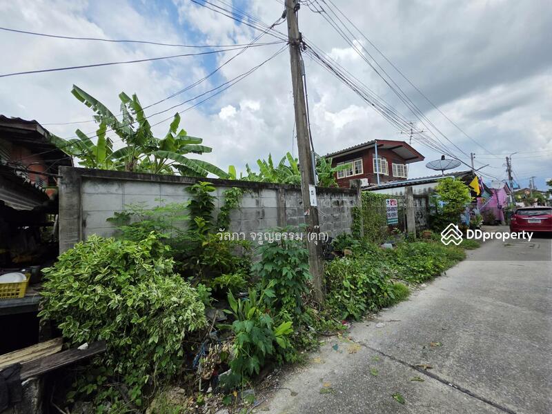 ขาย - ที่ดินเปล่า สาย 1 ซอย 13, กรุงเทพ