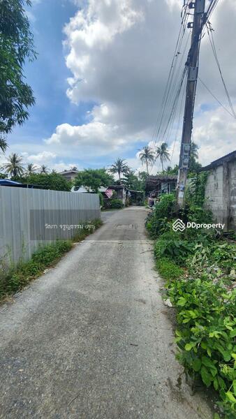 ขาย - ที่ดินเปล่า สาย 1 ซอย 13, กรุงเทพ