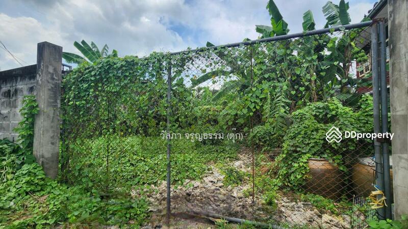 ขาย - ที่ดินเปล่า สาย 1 ซอย 13, กรุงเทพ