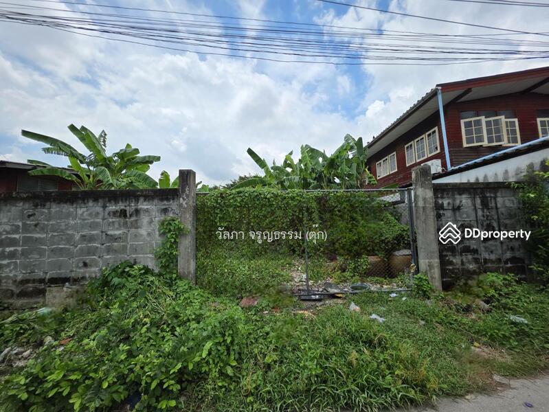 ขาย - ที่ดินเปล่า สาย 1 ซอย 13, กรุงเทพ