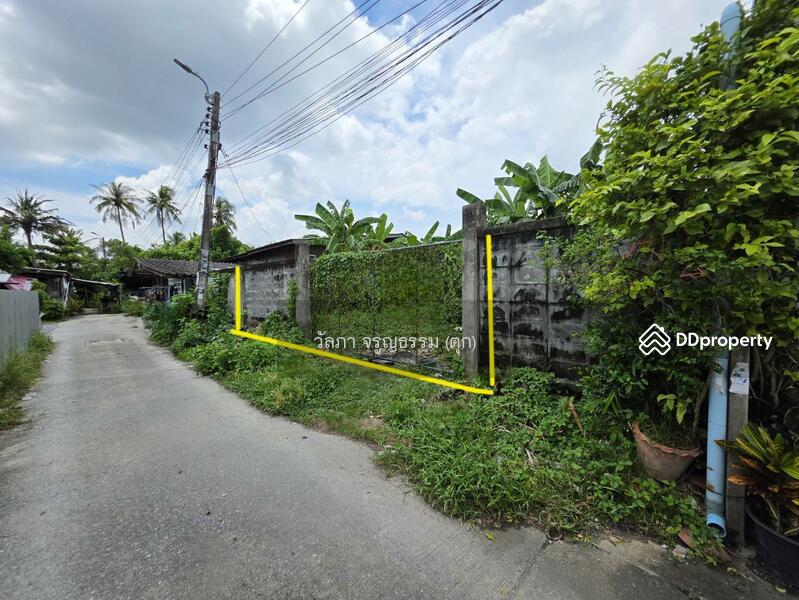 ขาย - ที่ดินเปล่า สาย 1 ซอย 13, กรุงเทพ