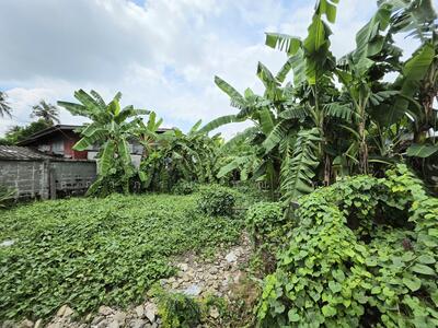 ขาย - พุทธมณฑลสาย 1 บางเชือกหนังฝั่งใต้ ภาษีเจริญ 10170, กรุงเทพ