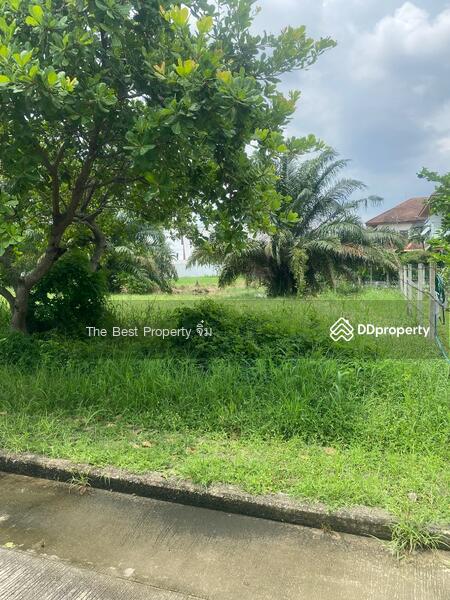 ขาย - กฤษดานคร20 (Krisda Nakhon20), กรุงเทพ